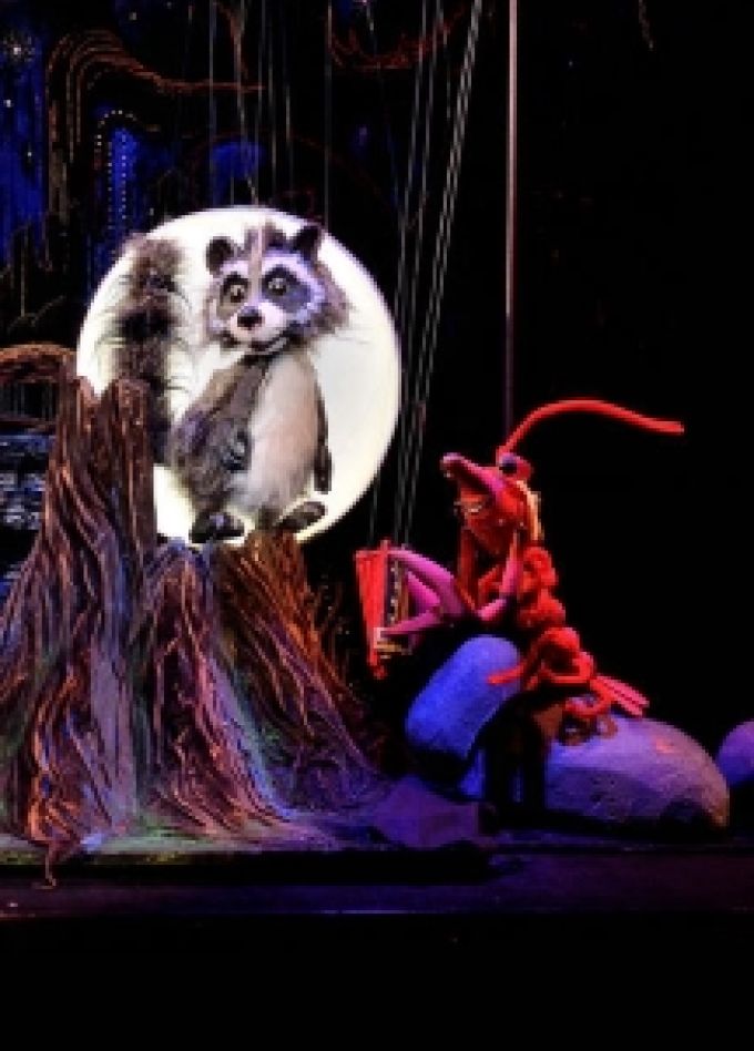 Крошка Енот