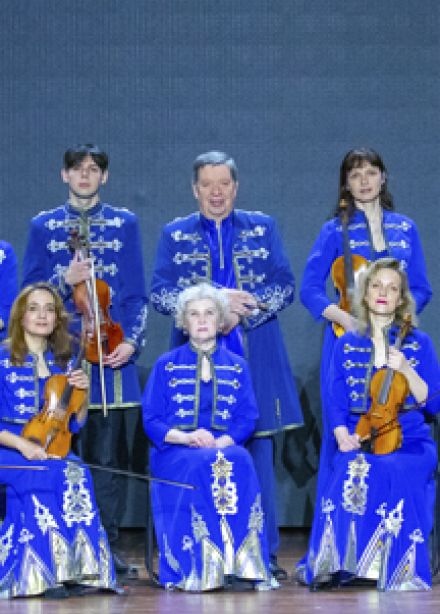 Новогодняя  котовасия